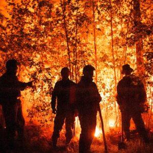Lee más sobre el artículo ¿Cómo combatir los incendios en un planeta que se calienta?