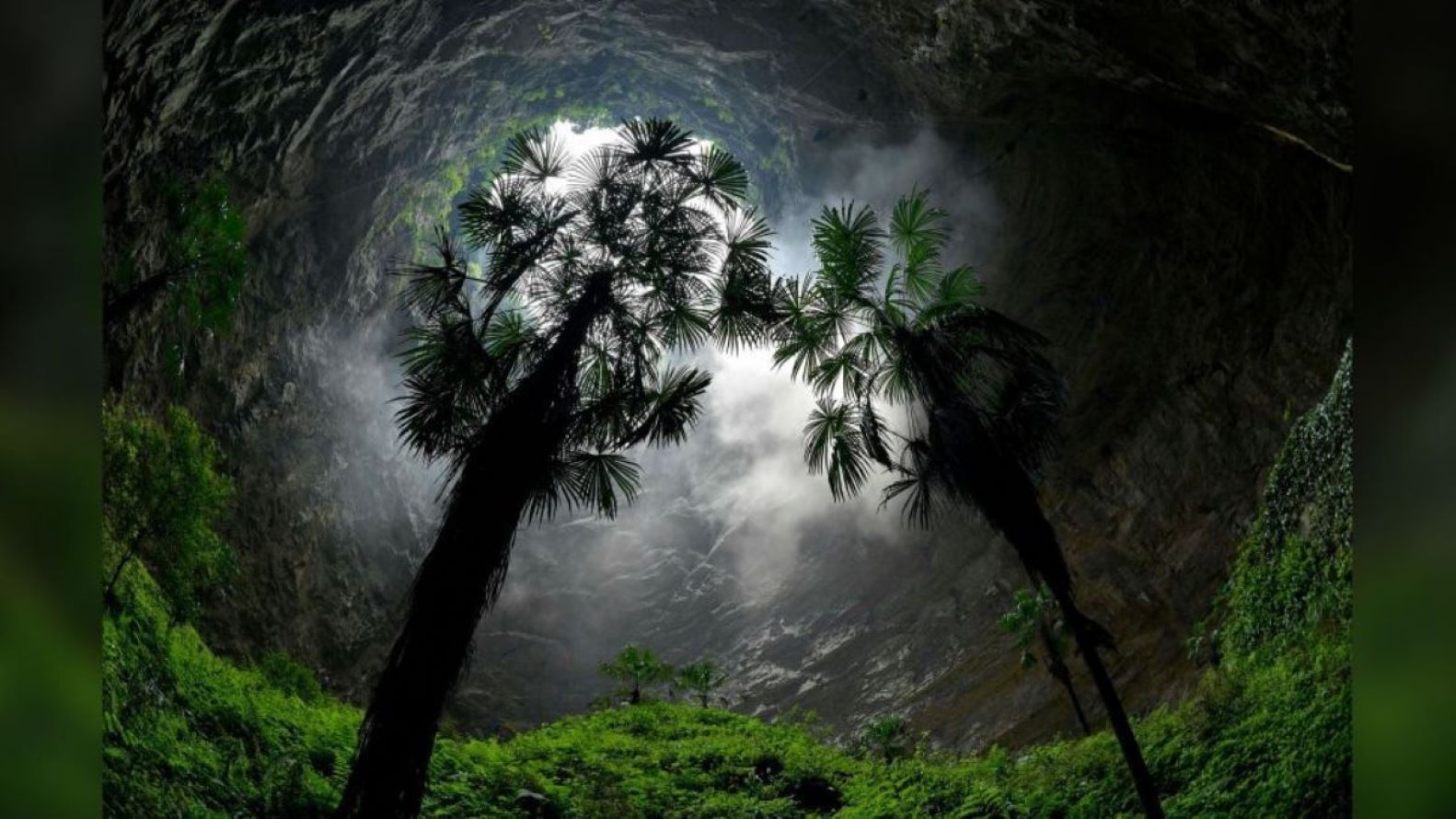 Lee más sobre el artículo Descubren bosque ancestral oculto al sur de China