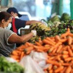 Fedeagro: Venezuela debe convertirse en despensa de alimentos para el mundo