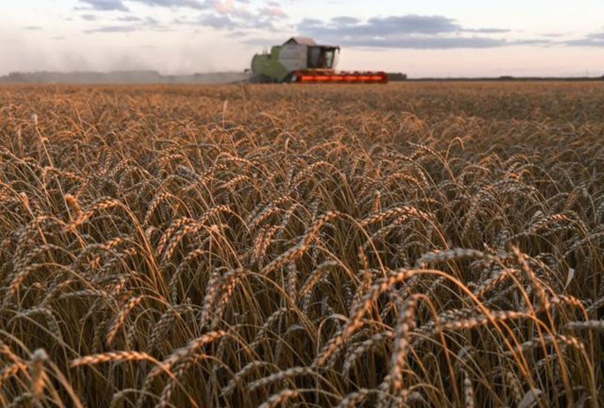 Lee más sobre el artículo Guerra en Ucrania vuelve a impulsar precios de los granos