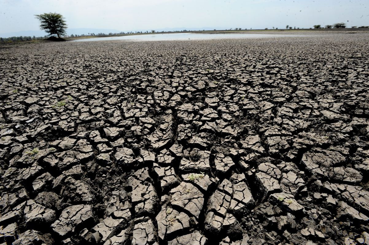 Lee más sobre el artículo Proteger el suelo ante futuras sequías y olas de calor